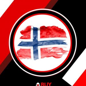 NORWAY CCV – 99% VALID SNIFFED CCV | BEST FOR ONLINE PAYING