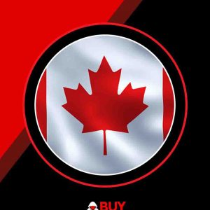 3 CANADA VISA CC/CVV – 5000-$15,000 CAD Balance