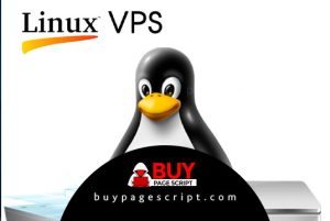 Read more about the article How to get Linux VPS panel