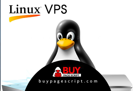 You are currently viewing How to get Linux VPS panel