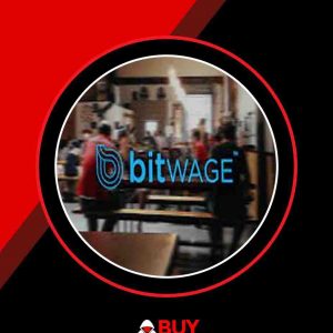 Bitwage business account with email access and $3k balance