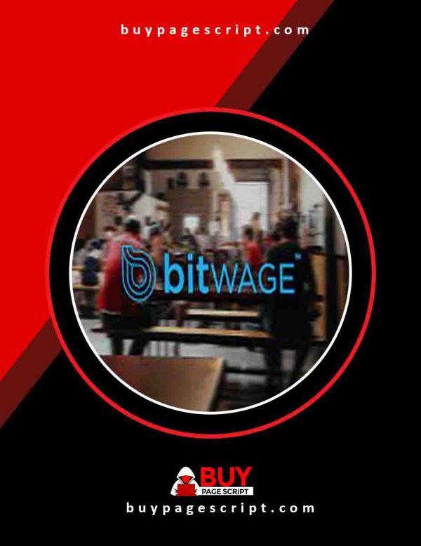 Bitwage business account with email access