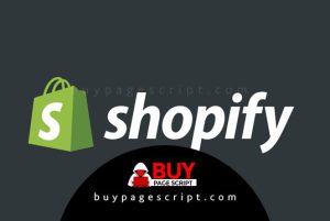 Read more about the article SHOPIFY STORE MMORPG CARDING GUIDE