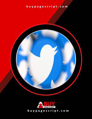 Buy Twitter Accounts 